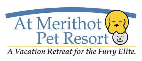 At Merithot Pet Resort